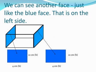 We can see another face - just
like the blue face. That is on the
left side.
10 cm (h)
4 cm (b)4 cm (b)
10 cm (h)