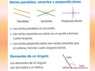 Rectas y angulos