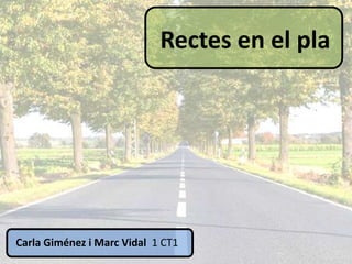 Rectes en el pla




Carla Giménez i Marc Vidal 1 CT1
 