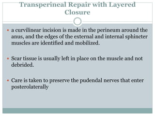 Transperineal Repair with Layered
Closure
 a curvilinear incision is made in the perineum around the
anus, and the edges of the external and internal sphincter
muscles are identified and mobilized.
 Scar tissue is usually left in place on the muscle and not
debrided.
 Care is taken to preserve the pudendal nerves that enter
posterolaterally
 