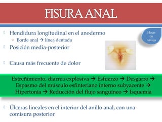 Hendidura longitudinal en el anodermo



o Borde anal  línea dentada



Posición media-posterior



Hojas
de
navaja

Causa más frecuente de dolor




Estreñimiento, diarrea explosiva  Esfuerzo  Desgarro 
Espasmo del músculo esfinteriano interno subyacente 
Hipertonía  Reducción del flujo sanguíneo  Isquemia
Úlceras lineales en el interior del anillo anal, con una
comisura posterior

 