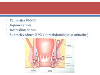 




Perianales 40-50%
Isquiorrectales
Interesfinterianos
Supraelevadores 2-9% (Intraabdominales o urinarios)

 