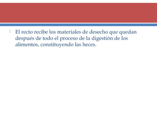 

El recto recibe los materiales de desecho que quedan
después de todo el proceso de la digestión de los
alimentos, constituyendo las heces.

 