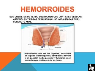 SON COJINETES DE TEJIDO SUBMUCOSO QUE CONTIENEN VENULAS,
ARTERIOLAS Y FIBRAS DE MUSCULO LISO LOCALIZADAS EN EL
CONDUCTO ANAL.
 