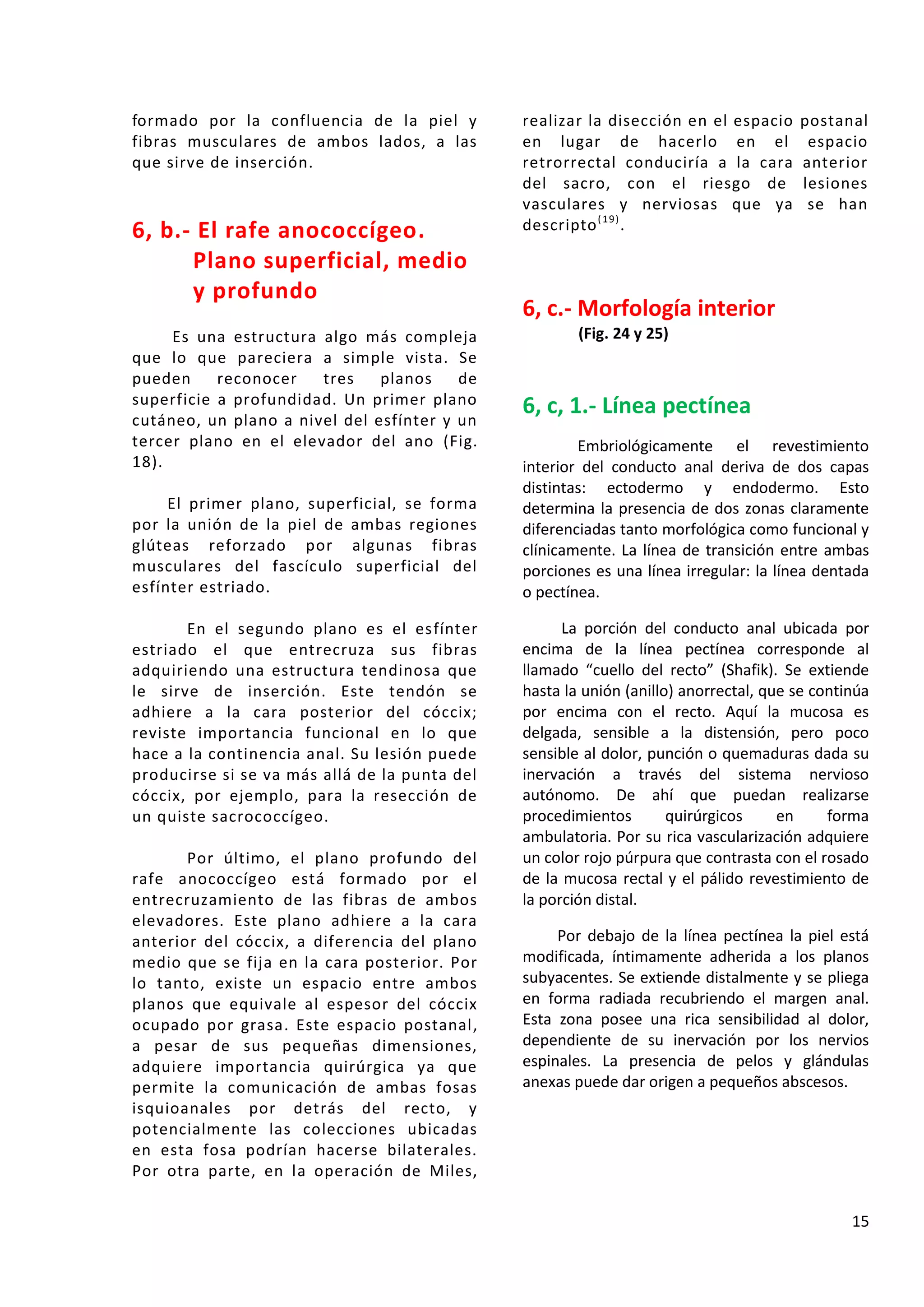 Anatomia Quirúrgica de Recto y Ano | PDF | Digestive Disorders ...