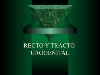 RECTO Y TRACTO
UROGENITAL
 