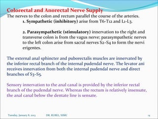 Colorectal and Anorectal Nerve Supply
The nerves to the colon and rectum parallel the course of the arteries.
       1. Sy...