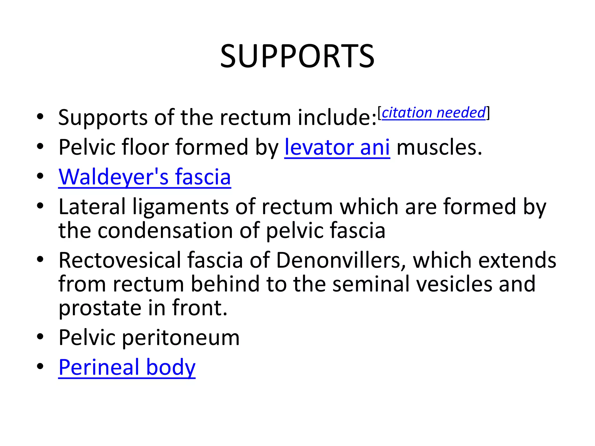 Rectum anatomy | PPTX