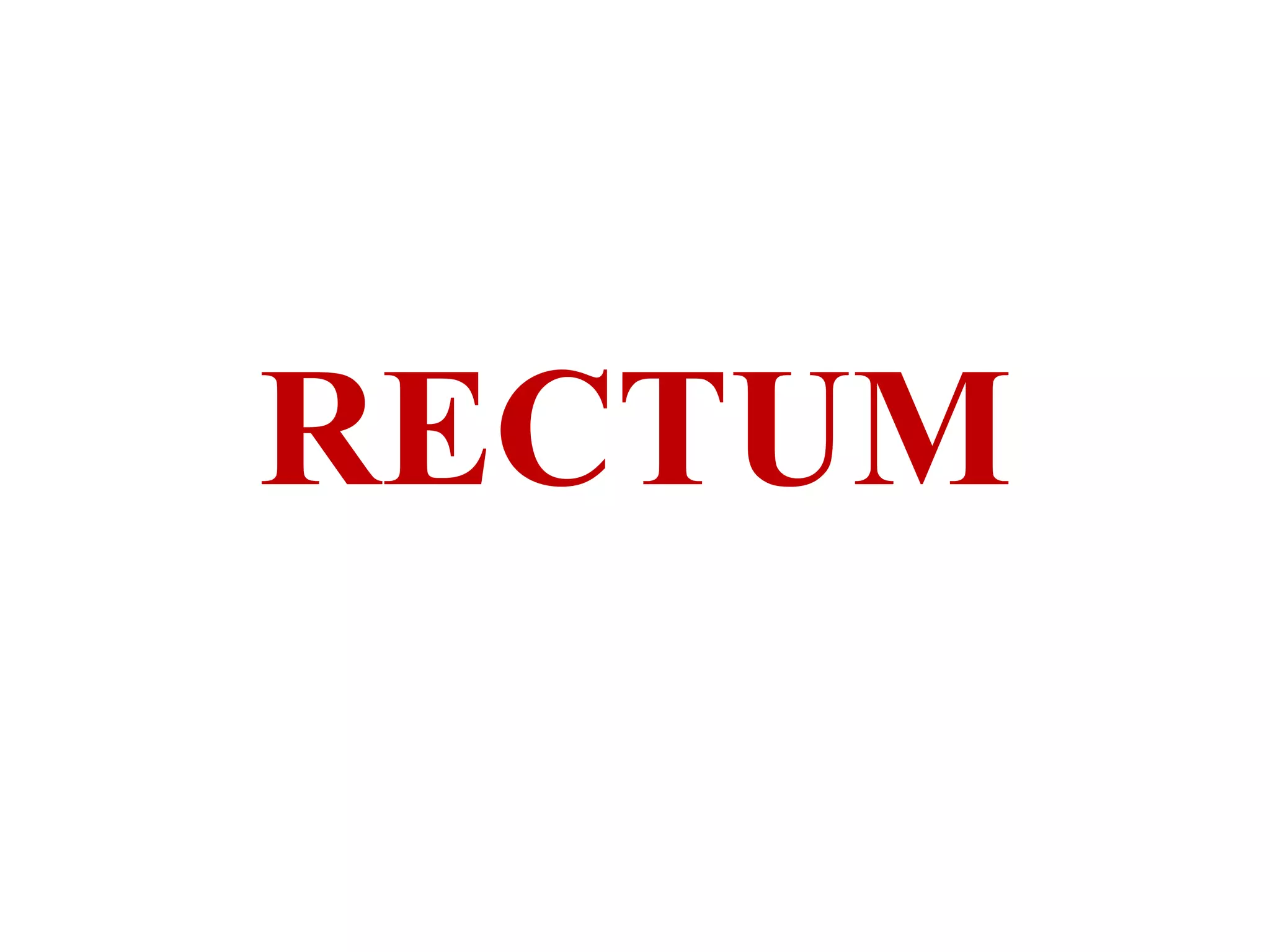 RECTUM