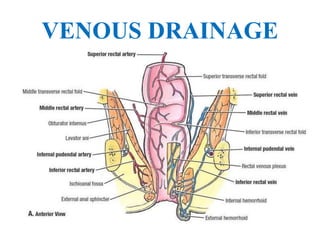 Rectate Clot Anatomy of Rectum.pptx