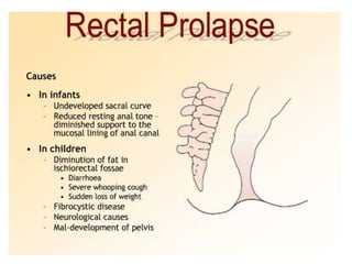 Proctotomy Anatomy of Rectum.pptx