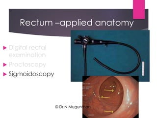Rectum & Anal canal By Prof.Dr.N.Mugunthan | PDF