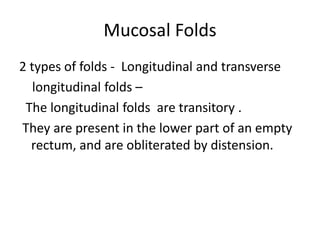 Mucosal Folds
2 types of folds - Longitudinal and transverse
longitudinal folds –
The longitudinal folds are transitory .
They are present in the lower part of an empty
rectum, and are obliterated by distension.
 