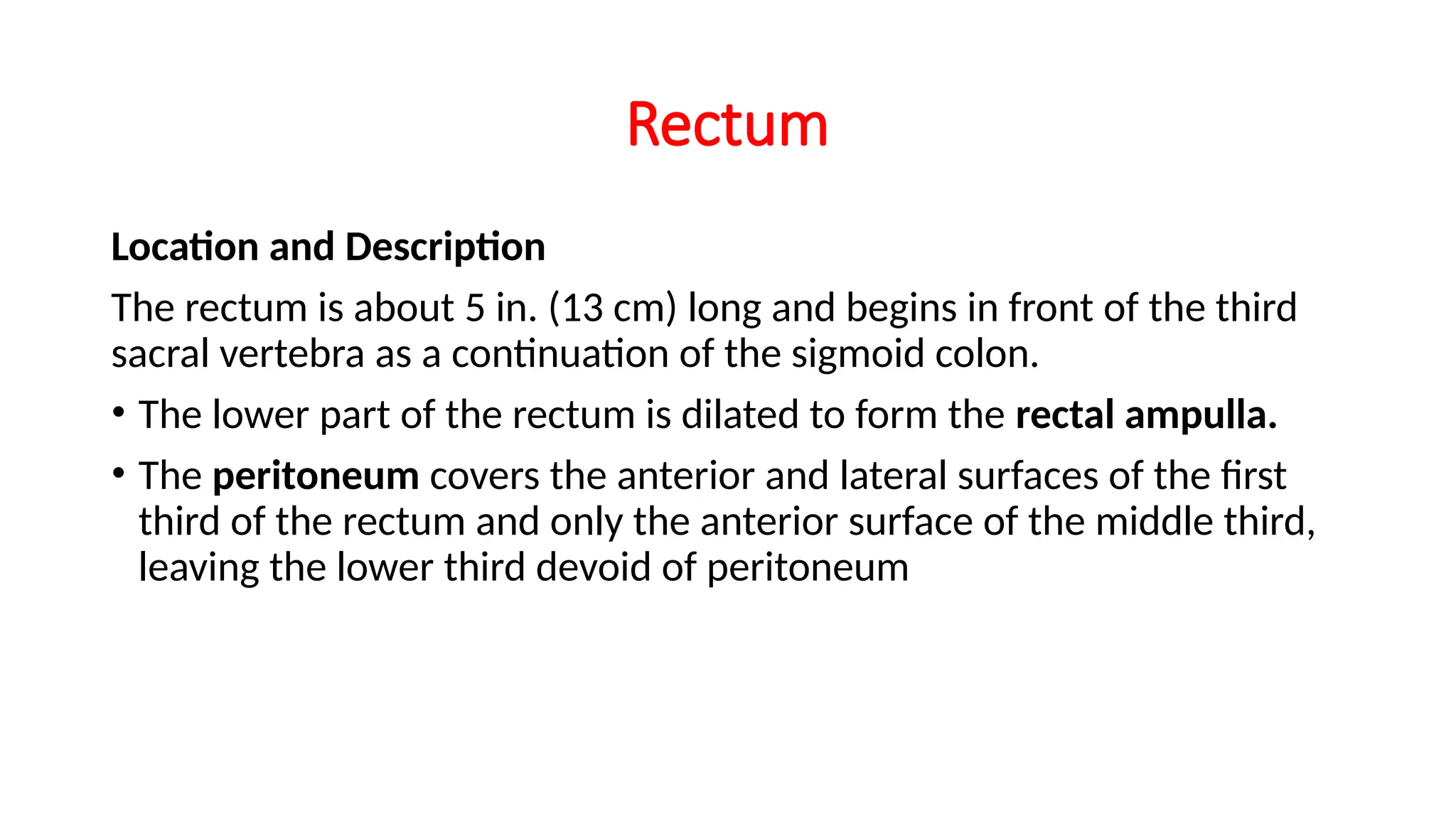 Rectum, gross anatomy and histology ppt.pptx