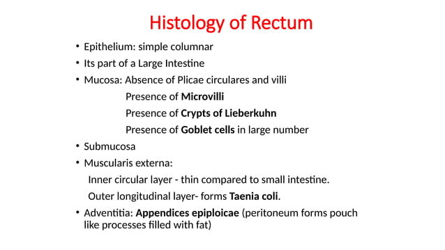 Rectum, gross anatomy and histology ppt.pptx