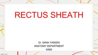 RECTUS SHEATH
Dr. SANA YASEEN
ANATOMY DEPARTMENT
KIMS
 