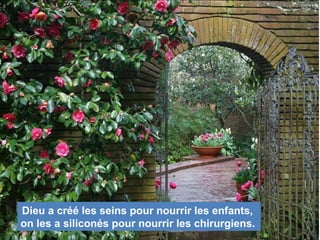 Dieu a créé les seins pour nourrir les enfants,
on les a siliconés pour nourrir les chirurgiens.
 