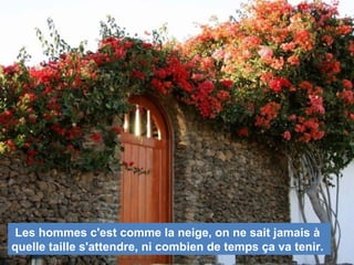 Les hommes c'est comme la neige, on ne sait jamais à
quelle taille s'attendre, ni combien de temps ça va tenir.
 