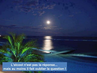 L'alcool n'est pas la réponse...
mais au moins il fait oublier la question !
 