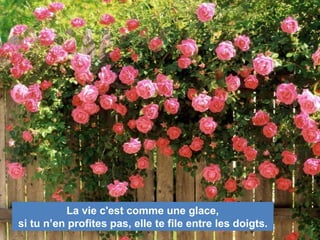 La vie c'est comme une glace,
si tu n’en profites pas, elle te file entre les doigts.
 