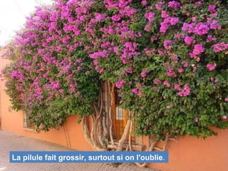 La pilule fait grossir, surtout si on l'oublie.
 