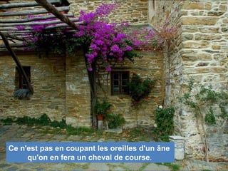 Ce n'est pas en coupant les oreilles d'un âne
qu'on en fera un cheval de course.
 