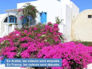 En Arabie, les voleurs sont amputés.
En France, les voleurs sont députés.
 