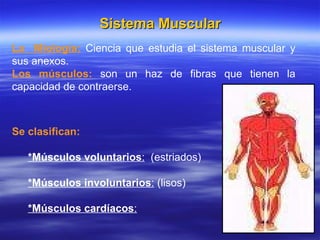 Sistema Muscular ,[object Object],[object Object],[object Object],[object Object],La  Miología:  Ciencia que estudia el sistema muscular y sus anexos. Los músculos:   son un haz de fibras que tienen la capacidad de contraerse. 