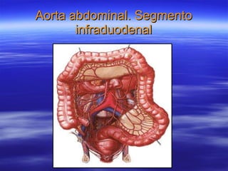 Aorta abdominal. Segmento infraduodenal 