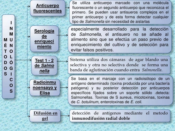 Recuento de microorganismos