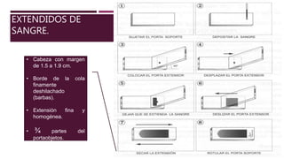 EXTENDIDOS DE
SANGRE.
• Cabeza con margen
de 1.5 a 1.9 cm.
• Borde de la cola
finamente
deshilachado
(barbas).
• Extensión fina y
homogénea.
• ¾ partes del
portaobjetos.
 