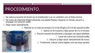 PROCEDIMIENTO.
1. Se coloca el puente de tinción en el cristalizador o en un vertedero con el frotis encima.
2. Se cubre de colorante Wright utilizando una pipeta Pasteur. Esperar un minuto, escurrir y
enjuagar con solución buffer.
3. Dejar secar verticalmente.
4. Mezclar en un tubo de ensayo 0.5 ml de Wright y 0.5 ml de solución buffer.
5. Aplicar en la muestra y deja actuar de 3 a 5 minutos.
6. Escurrir exceso de colorante y enjuagar con agua destilada.
7. Lavar de nuevo con solución buffer.
8. Escurrir y dejar secar verticalmente de nuevo.
9. Finalmente, colocar cubre objetos una vez haya secado.
 
