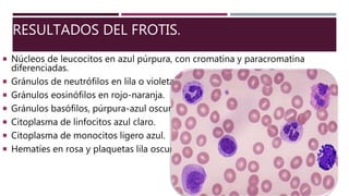 RESULTADOS DEL FROTIS.
 Núcleos de leucocitos en azul púrpura, con cromatina y paracromatina
diferenciadas.
 Gránulos de neutrófilos en lila o violeta
 Gránulos eosinófilos en rojo-naranja.
 Gránulos basófilos, púrpura-azul oscuro.
 Citoplasma de linfocitos azul claro.
 Citoplasma de monocitos ligero azul.
 Hematíes en rosa y plaquetas lila oscuro.
 