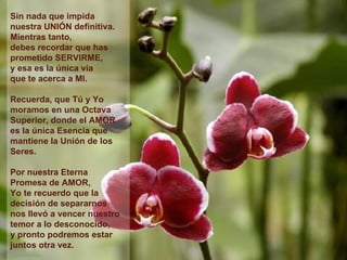 Sin nada que impida  nuestra UNIÓN definitiva. Mientras tanto, debes recordar que has prometido SERVIRME,  y esa es la única vía  que te acerca a MI. Recuerda, que Tú y Yo moramos en una Octava Superior, donde el AMOR  es la única Esencia que mantiene la Unión de los Seres. Por nuestra Eterna  Promesa de AMOR,  Yo te recuerdo que la decisión de separarnos  nos llevó a vencer nuestro temor a lo desconocido,  y pronto podremos estar juntos otra vez.   **************** 