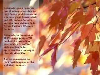 Recuerda, que a pesar de que el velo que te cubre es muy denso, podrás mirarme a la cara, y así, transmutado en LUZ, podrás Ser otra  vez una nota viviente de la Divina Partitura Cósmica  del Amor. Recuerda, tu promesa es  Mi Promesa, porque YO también he prometido acercarMe a tu entorno  en la medida de tu aproximación a un mayor nivel de vibración.  Así, de esa manera se  hará posible que el arriba  y el abajo se unan. **************** 