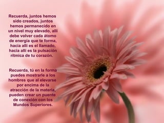 Recuerda, juntos hemos  sido creados, juntos hemos permanecido en un nivel muy elevado, allí debe volver cada átomo de energía que te forma, hacia allí es el llamado, hacia allí es la pulsación rítmica de tu corazón.  Recuerda, tú en la forma puedes mostrarle a los hombres que al elevarse  por encima de la atracción de la materia, pueden crear un puente  de conexión con los Mundos Superiores.   **************** 