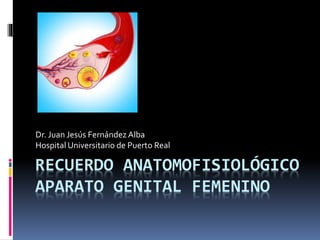 RECUERDO ANATOMOFISIOLÓGICO
APARATO GENITAL FEMENINO
Dr. Juan Jesús Fernández Alba
Hospital Universitario de Puerto Real
 