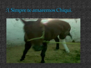 :’( Simpre te amaremos Chiqui. 