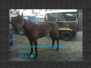Con mucho amor Familias:SalazarSilva ..☻