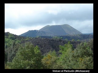 Volcan el Paricutin (Michoacan) 