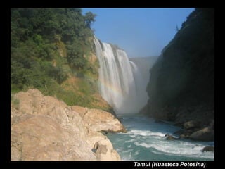 Tamul (Huasteca Potosina)