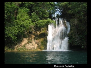 Huasteca Potosina 