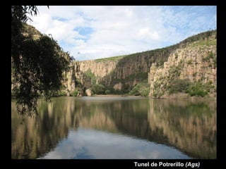 Tunel de Potrerillo  (Ags) 