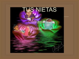 
TUS NIETAS