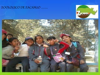 ZOOLOGICO DE ZACANGO ……