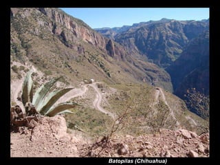 Batopilas (Chihuahua) 