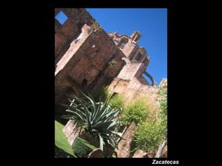 Zacatecas 