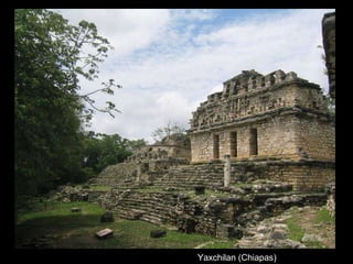 Yaxchilan (Chiapas) 
