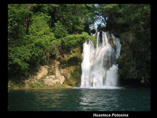 Huasteca Potosina 