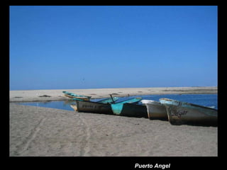 Puerto Angel 